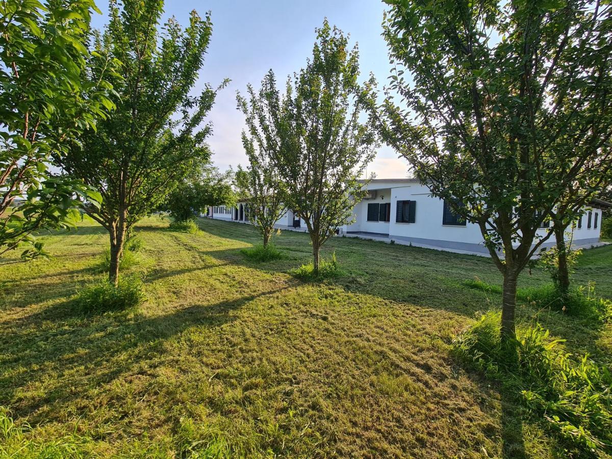 Agriturismo Ca Novak Venezia Spinea Extérieur photo