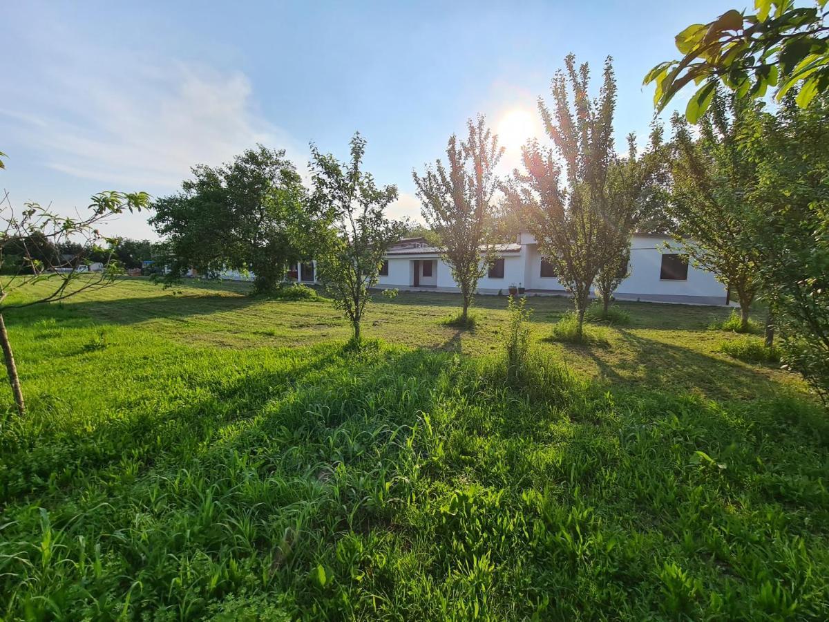 Agriturismo Ca Novak Venezia Spinea Extérieur photo